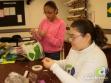 DNA - Desafio Nacional Acad�mico